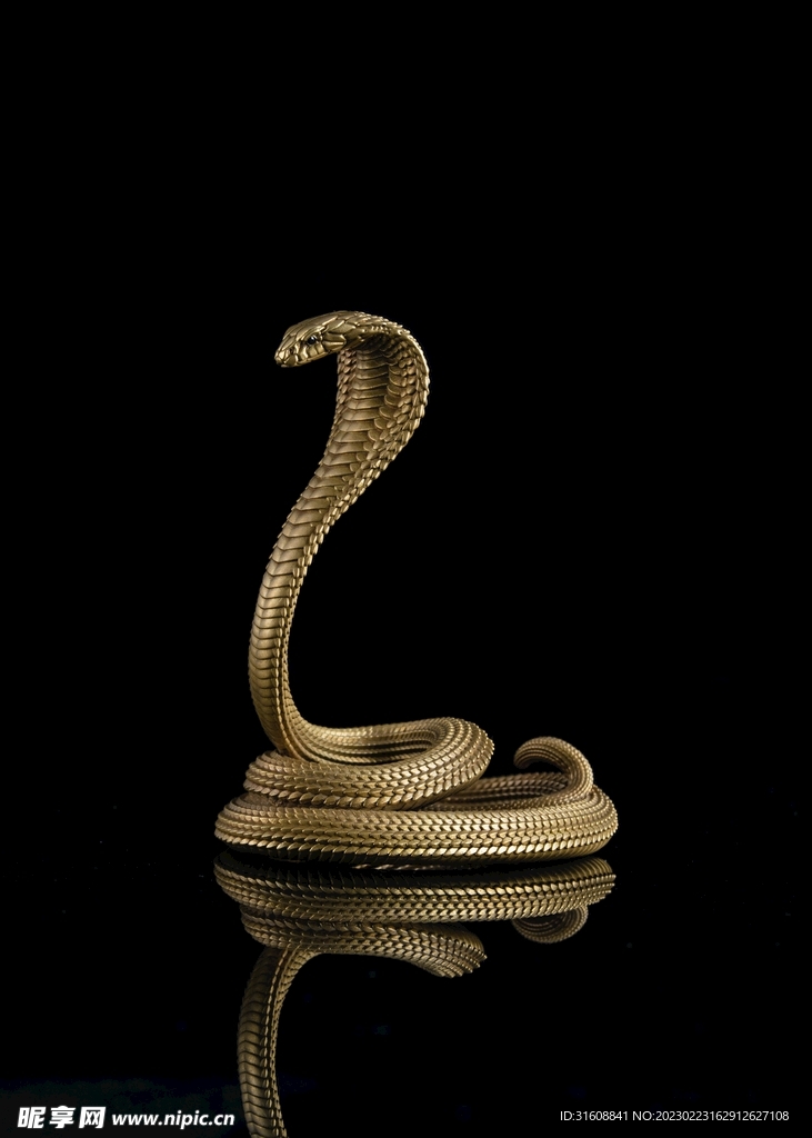 蛇 