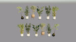 盆栽植物模型