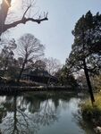 风景