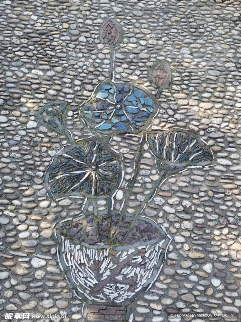 花盆