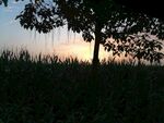 夏中黄昏
