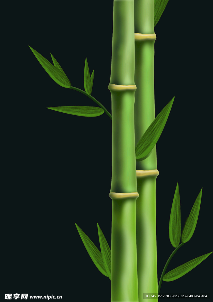 竹子