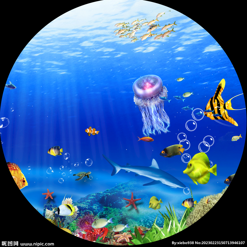 水母海底世界游鱼圆形挂画装饰画