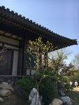 庭院大门