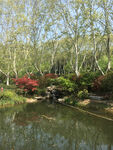 人工湖庭院