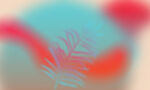 梦幻羽毛