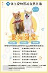 宠物店充值活动