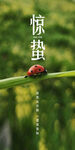惊蛰