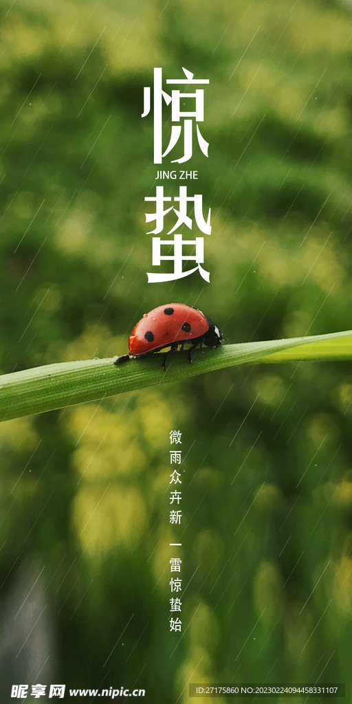 惊蛰