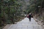 黔灵山景区阶梯下山