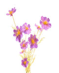 水彩花