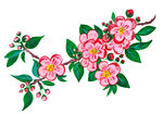 水彩花