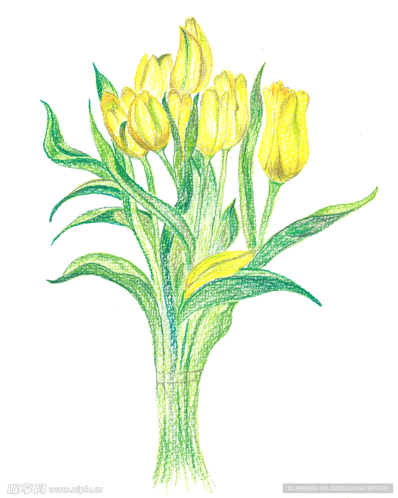 花卉