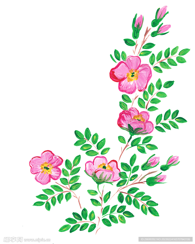花卉