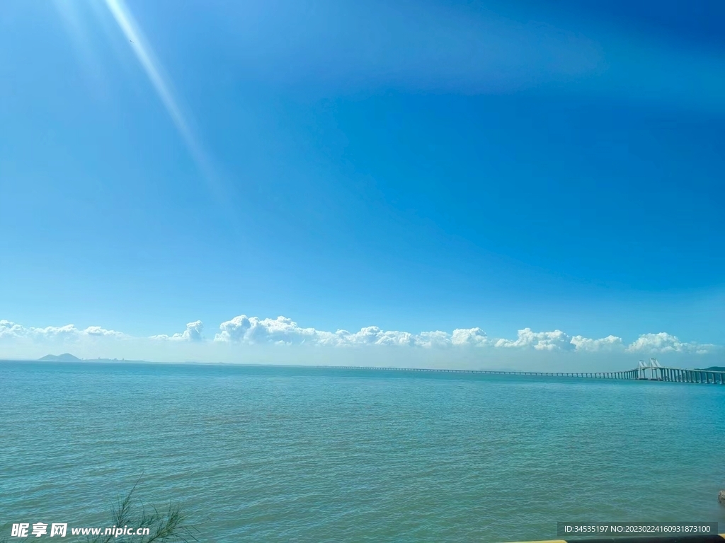 海