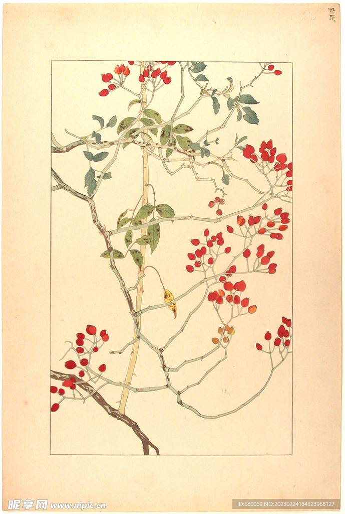 手绘花卉高清图