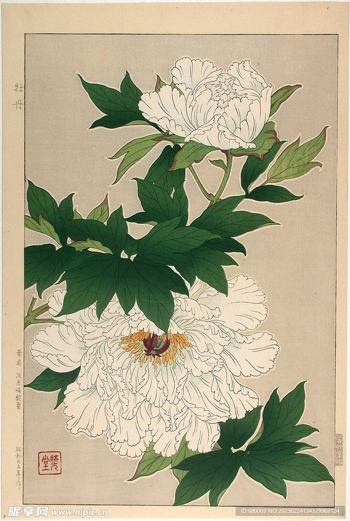 手绘花卉高清图