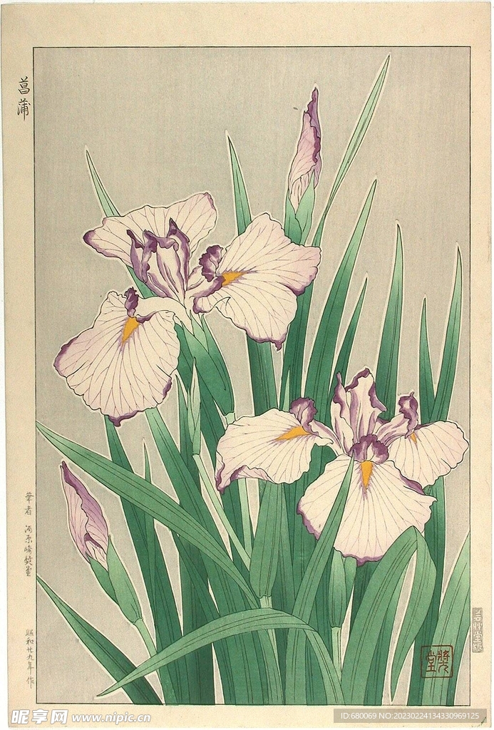 手绘花卉高清图