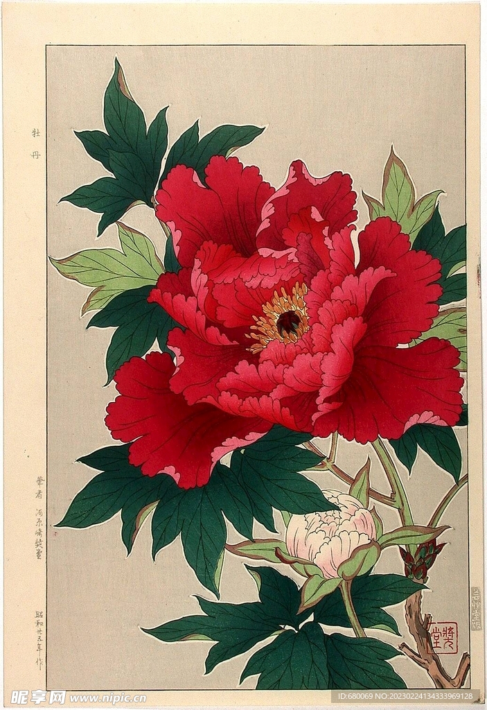 手绘花卉高清图