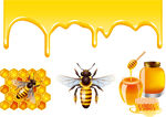 矢量蜂蜜 矢量蜜蜂 花蜜蜂  