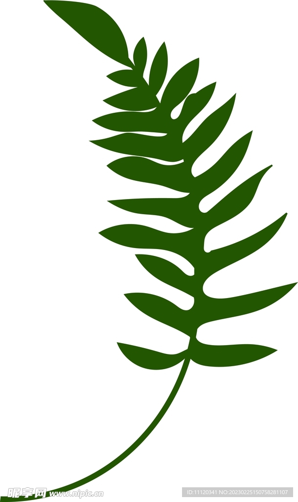 绿化植物矢量素材