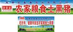 农家土黑猪 