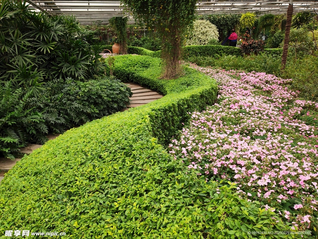 温室花草风景 