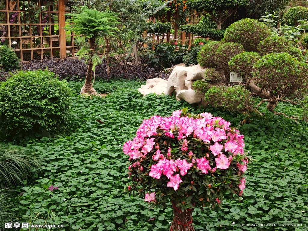 温室花草风景