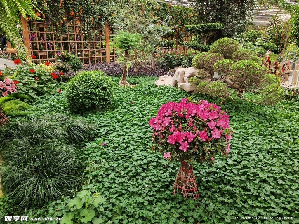 温室花草风景 