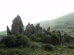 山林