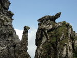 山