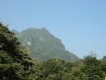 山林
