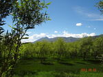 山林