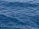 海水