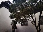 中式庭院