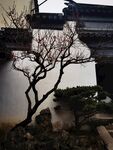 中式庭院