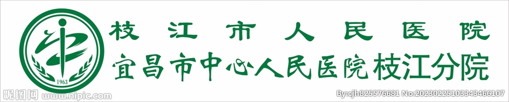 枝江市人民医院logo