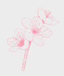 线条桃花