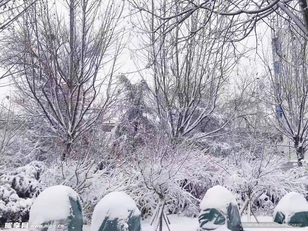 雪景