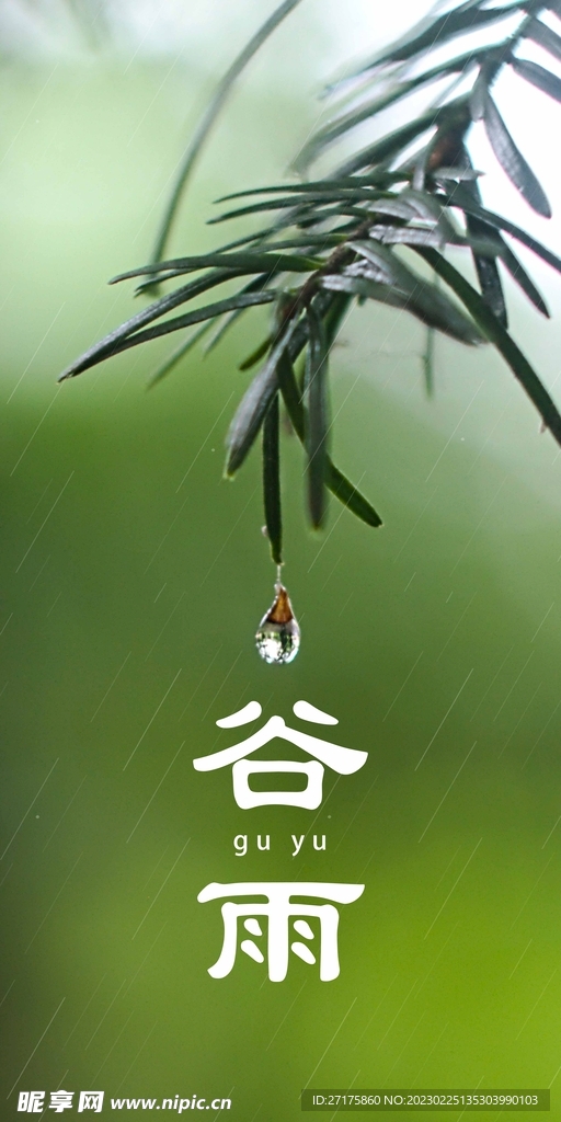 谷雨