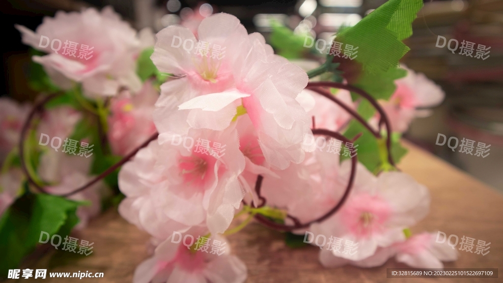 假樱花藤
