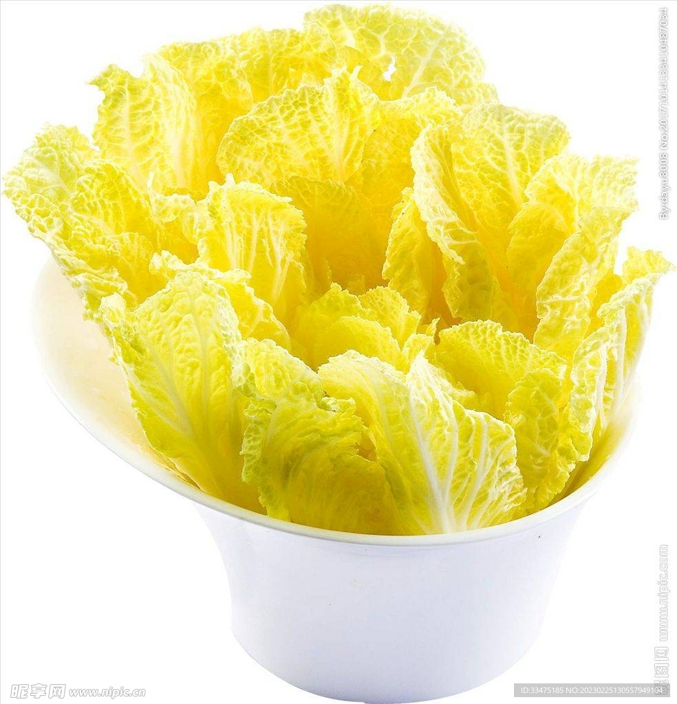 娃娃菜