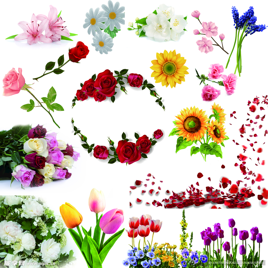 鲜花大全
