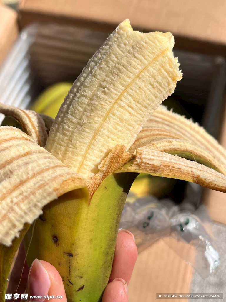 香蕉