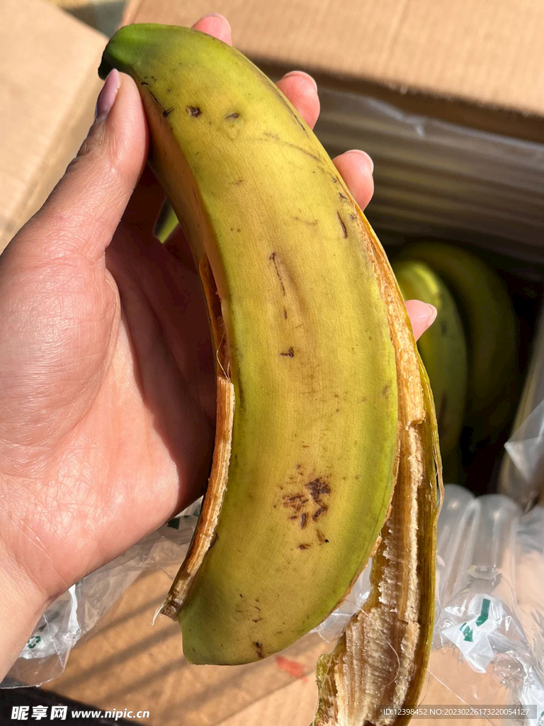 香蕉