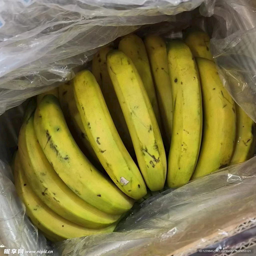 香蕉