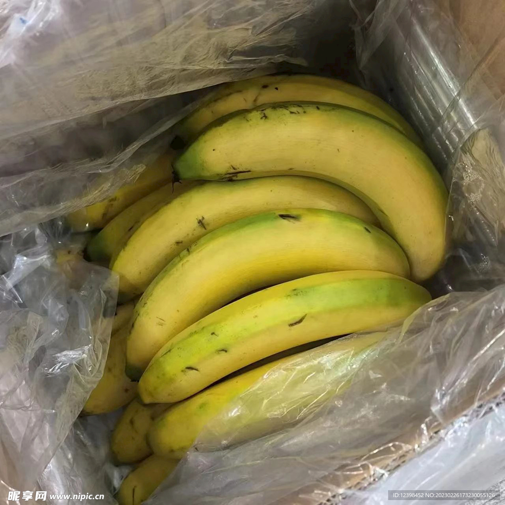 香蕉