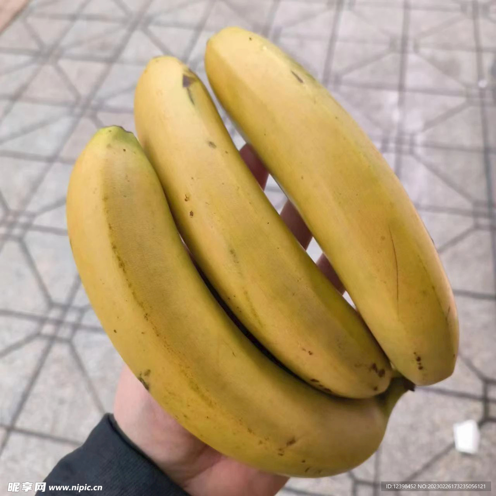 香蕉