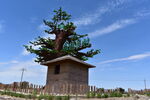 森林乡村