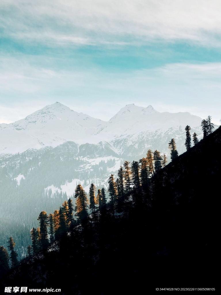 树影雪山图